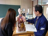 解剖学の授業（模型）