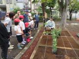 花壇の前で半田さんに苗の受け方の説明を受ける児童生徒とボランティアさん