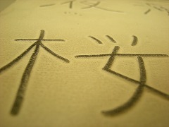 立体コピー機で作った漢字（桜）