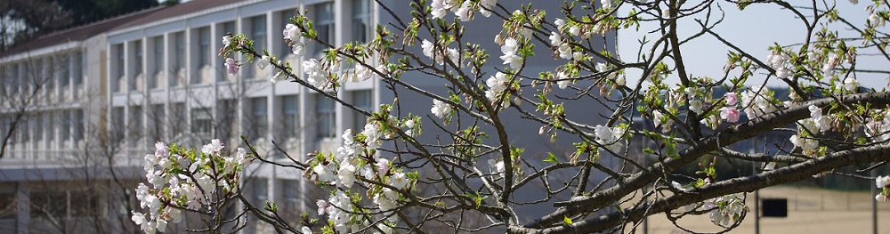 小笠高等学校
