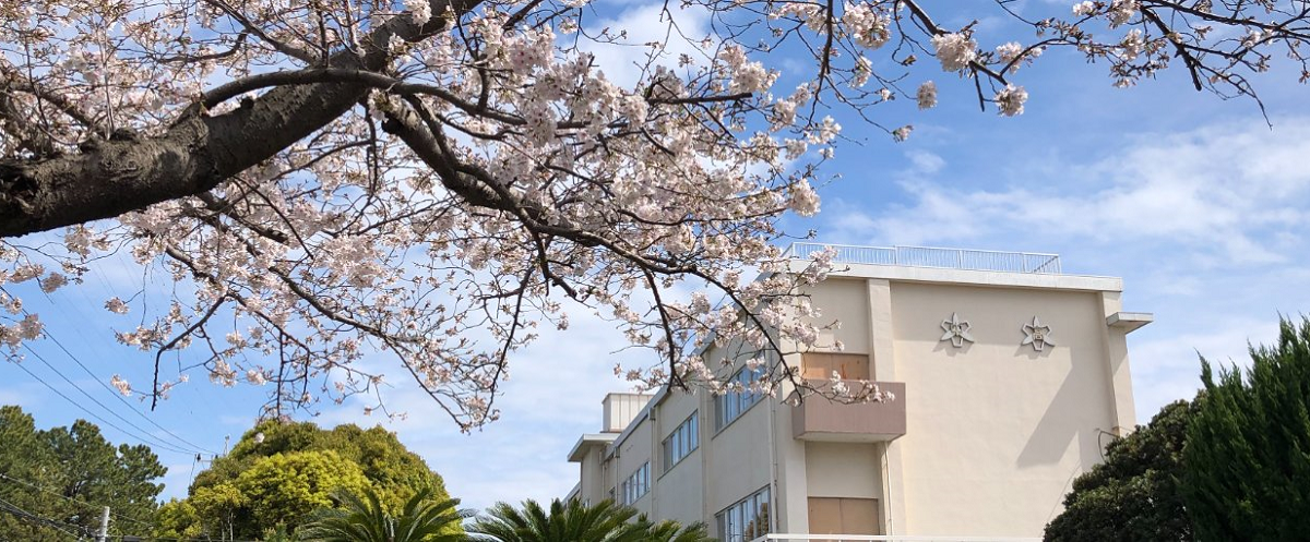 清水南高等学校・同中等部