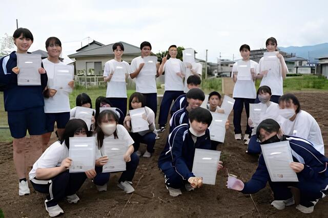 バタフライピーの苗植えを行いました