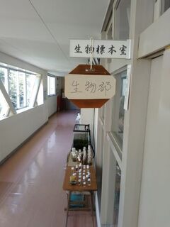 生物標本室