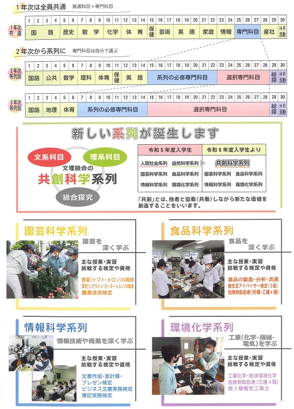 系列