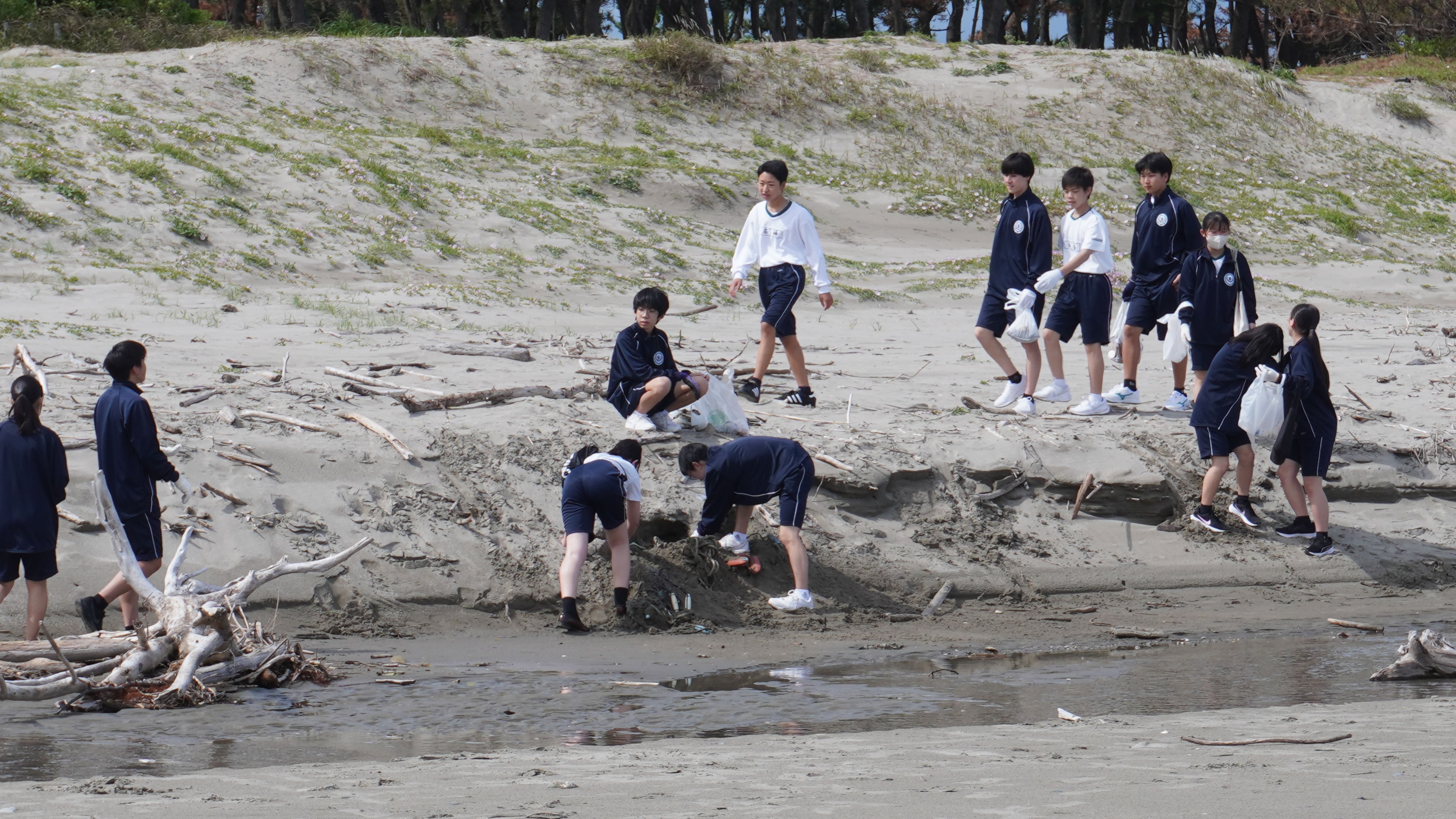 海岸清掃（学校行事）