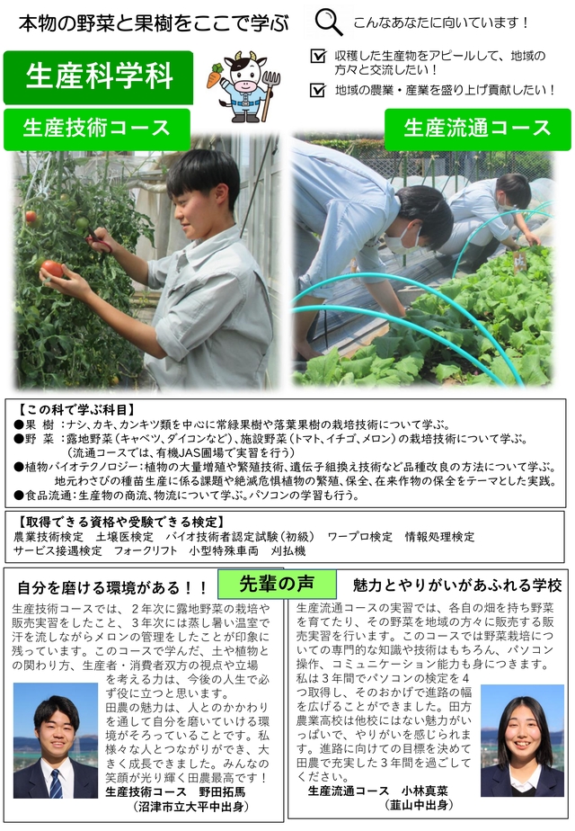 5科生産