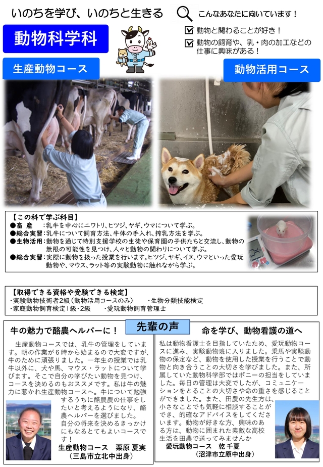 5科動物