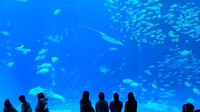 修学旅行