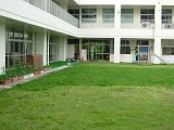 中庭（芝生広場）