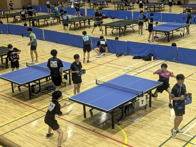 新人戦１.MP