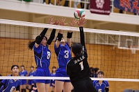 女子バレー 女子バレー