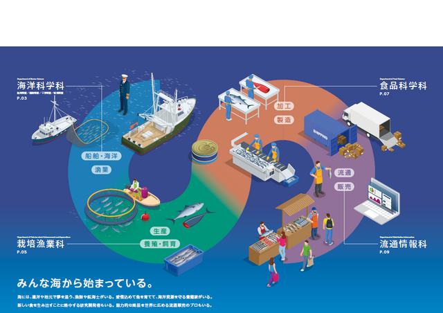 学校パンフレット　学科