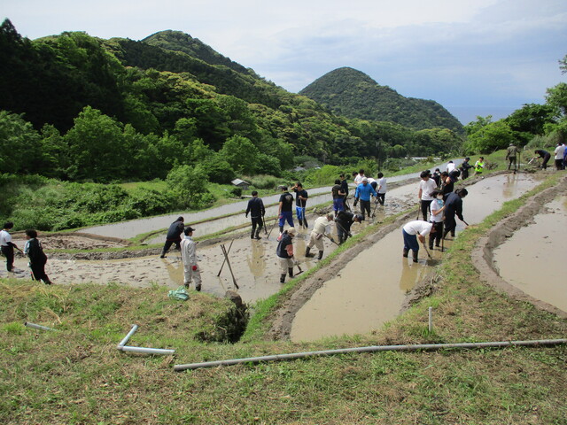 棚田③