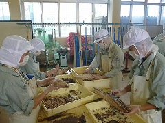 食品科学科_1