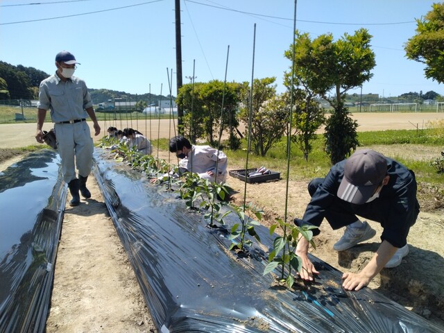 生物生産部①