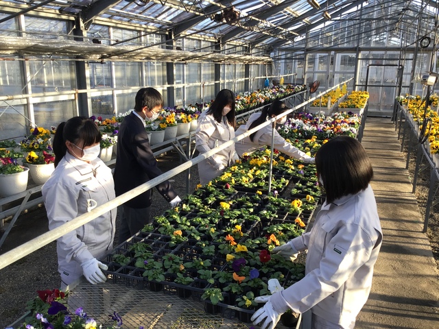 生物生産部②