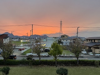 IMG_8943