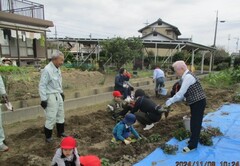 いも畑で子どもたちが社員さんといもを掘っている全体の様子