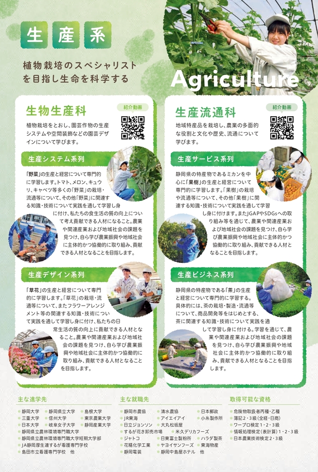 生産系