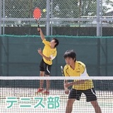 tenisu