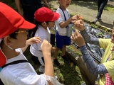小学部3