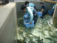 栽培漁業科_2