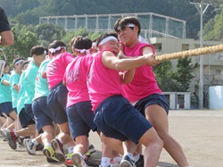 体育祭