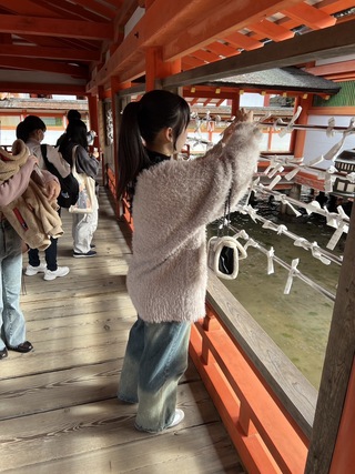 願掛け