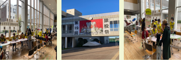 pta画像