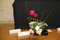 6月3年左