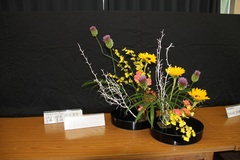 6月3年右