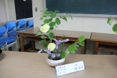 6月1年