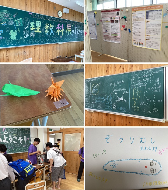 2024理数科展