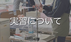 実習について
