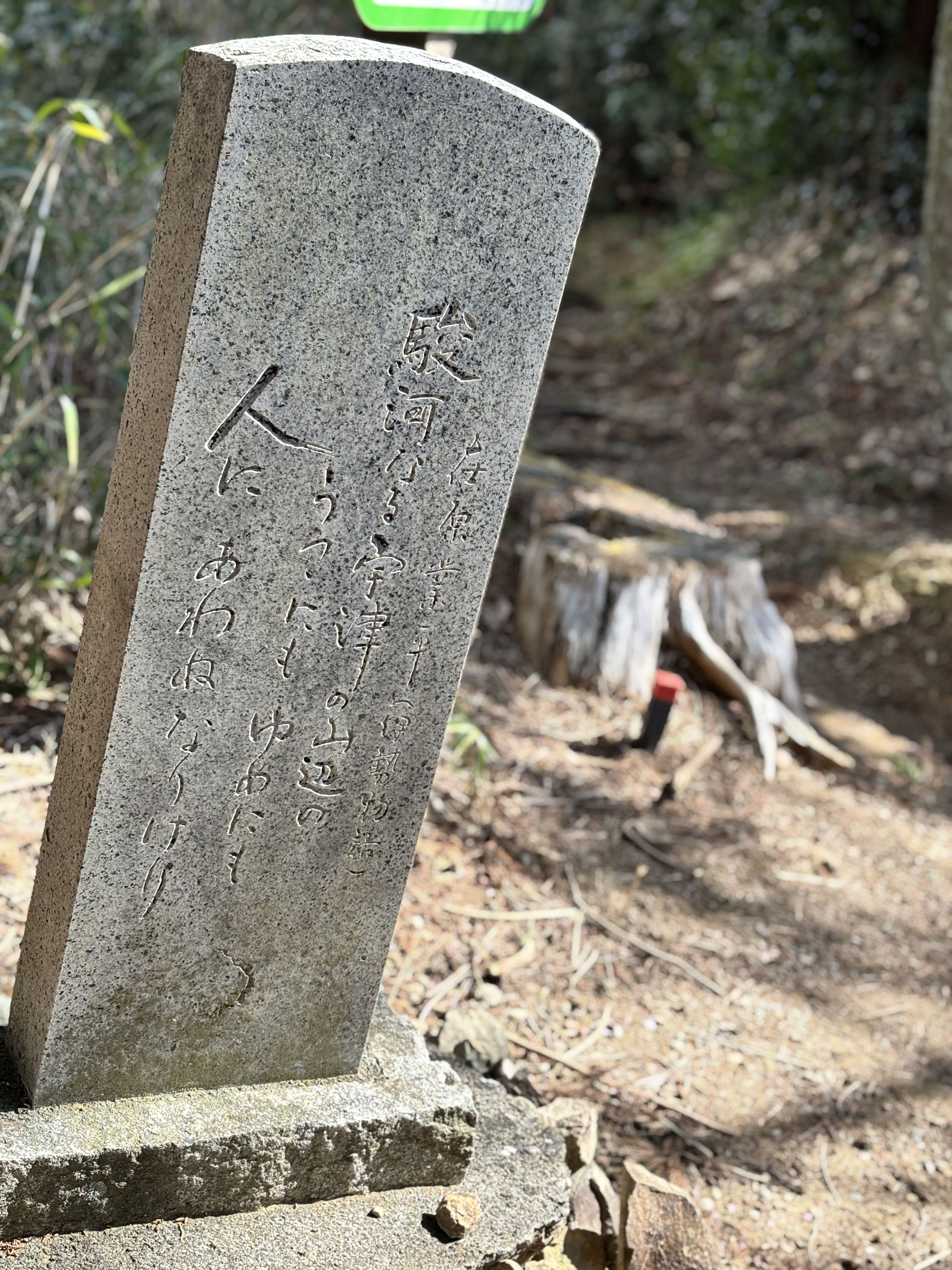 アウトドア部満観峰①