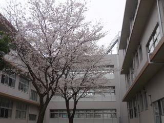 新年度スタート