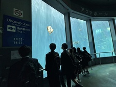 遠足６