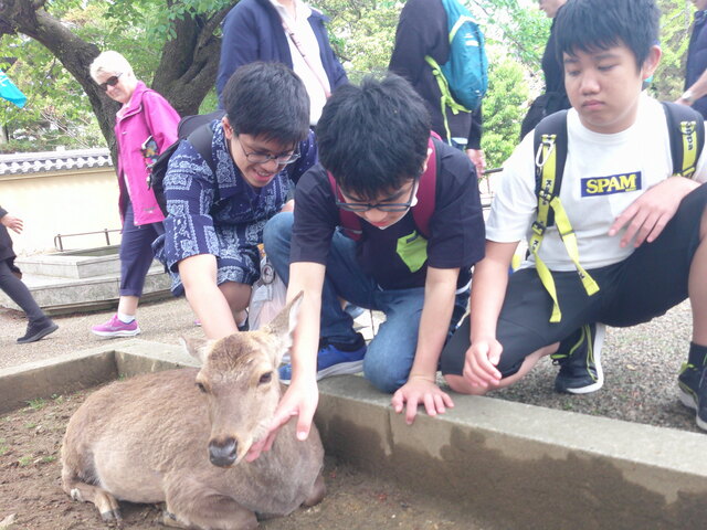 修学旅行➁