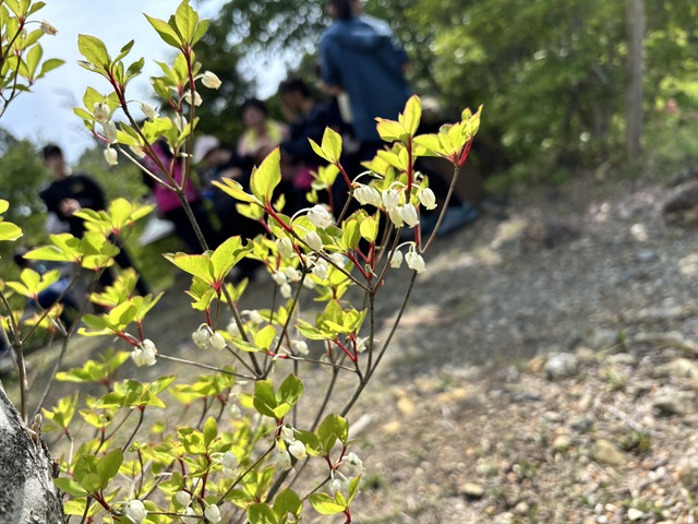 0504千葉山①