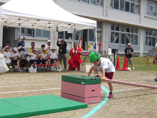 がくぶしゅもく