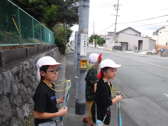 町探検横断歩道