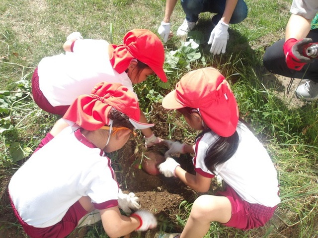 いもほりを したよ