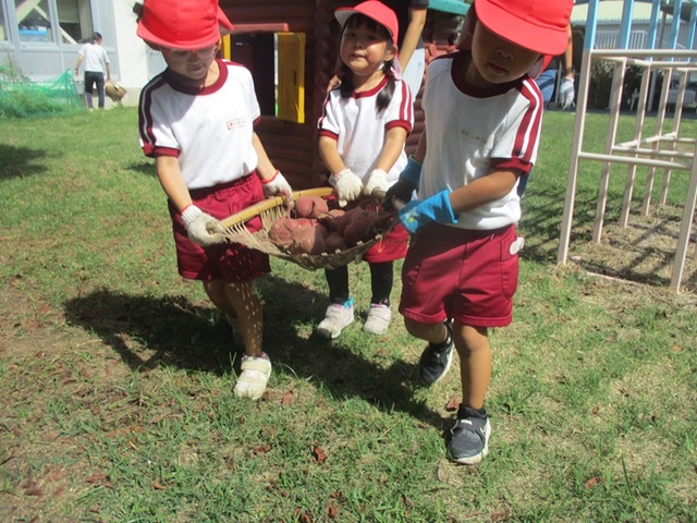 さつまいもが ほれたよ２