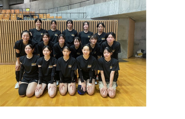 女子バレー 全日本用