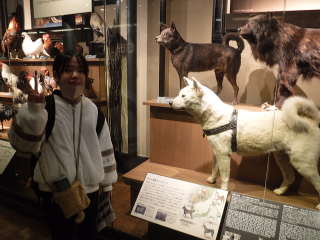 修学旅行1212 修学旅行1212