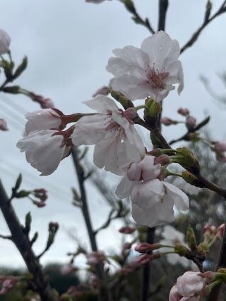 新年度スタート