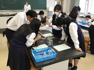 実験2 実験2