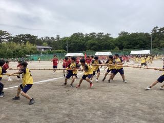 taiiiku botori
