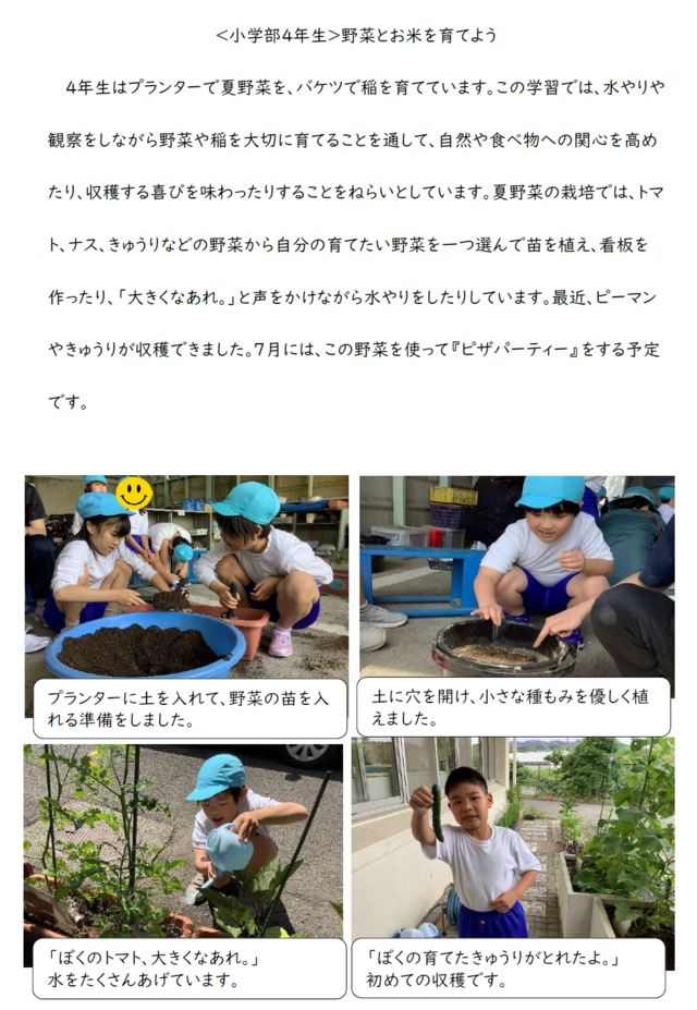 ４年生野菜とお米