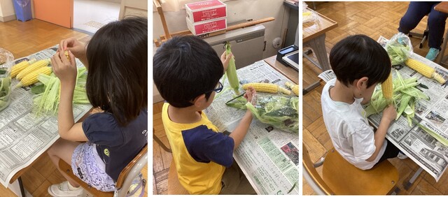 ３枚の写真　３人の小学生がそれぞれトウモロコシの皮むきをしている様子